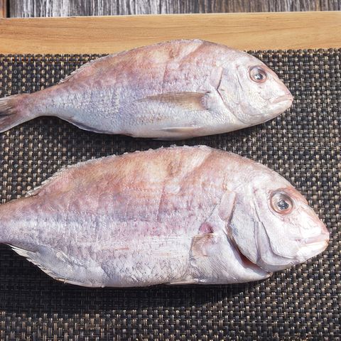 [해동찬가] 국내산 자연산 반건조 참돔 1kg