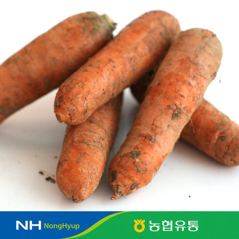 [농협] 당근 1kg / 중 사이즈