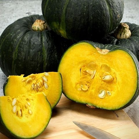 제주 햇 미니밤단호박 특품 로열과 3kg 6-10과 (개당 300~600g)
