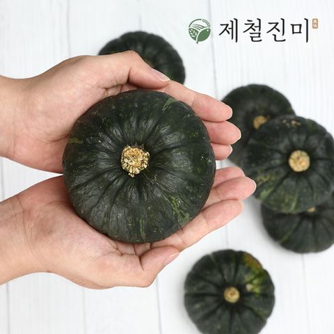 제주 햇 미니밤단호박 특품 로열과 2kg 4-6과 (개당 300~600g)