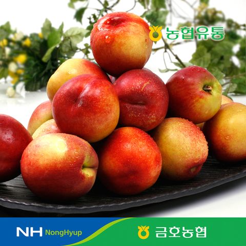 [농협] 천도복숭아 3kg (42과내)