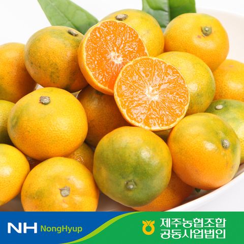 제주농협 하우스 감귤 1kg / 2S~L사이즈
