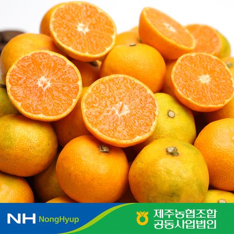 제주농협 하우스 감귤 4kg / 2S~L사이즈
