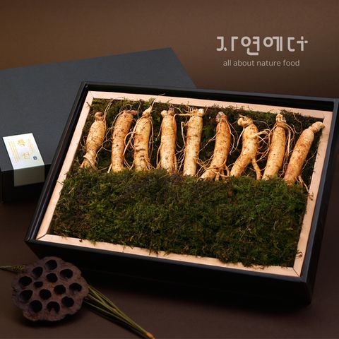 자연에더 인삼 선물세트 1호 450g