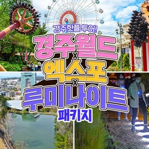 [경주]  경주코스 패키지 경주월드+엑스포+루미나이트(8/31까지)
