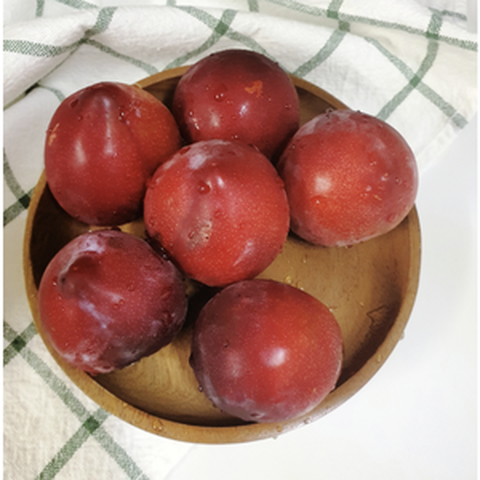 [농장직송] 산지직송 국내산 고당도 새콤달콤 김천 대석자두 1kg(12과내외) 2kg(25과내외) 3kg(37과내외) 대석 김천대석자두 후무사자두 김천자두왕특 피자두, 3kg, 1개