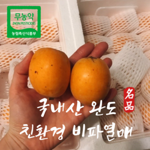 완도 무농약 비파 열매 친환경 비파열매 1kg, 무농약 완도 비파열매 1kg(15과내외), 1개