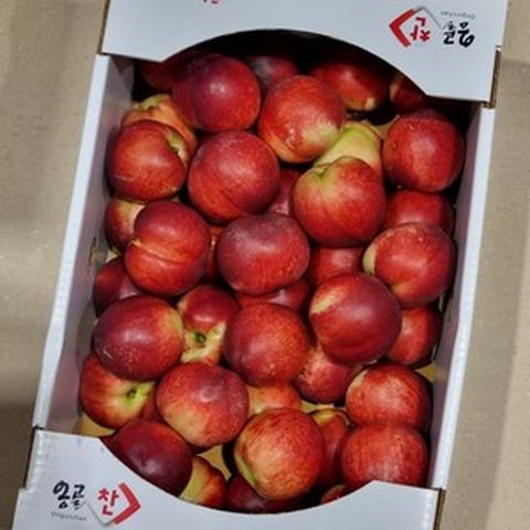 [농장직송] 고당도 신비복숭아, 1개, 신비복숭아 2kg 대과 (12-16과)