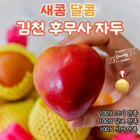 김천자두 후무사자두 대왕자두 꿀자두 당도보장 특품 프리미엄 자두 1KG 2KG 3KG 포무사 자두청 대석자두 흑무사자두 왕자두, 프리미엄 자두3kg(23과내외)