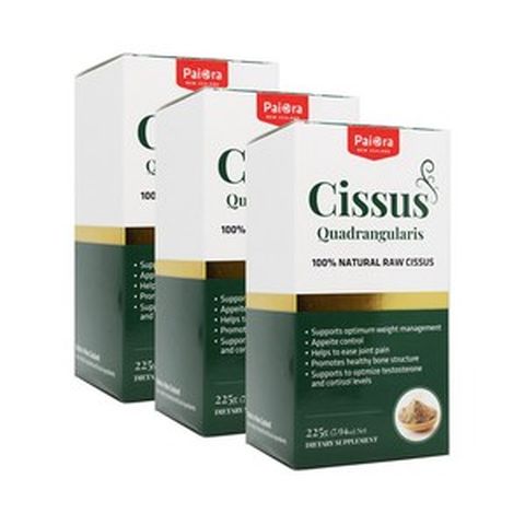 뉴질랜드 시서스가루 시저스가루 파이오라 시서스분말 천연식욕억제제 cissus 675g, 1개