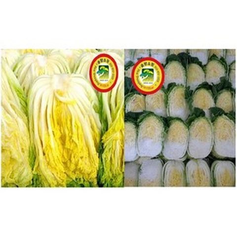 {쿠팡에서 주문이 연기 됬다는 문자오면 무시하세요)고객99% 이상 만족한 강릉고냉지 솔향절임배추 10kg(3-4포기) 한정판매 배추가 최상품 싼 절임배추와 격이 틀립니다, 11월23일[토} 도착분, 9999개, 10kg