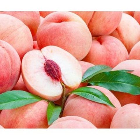 복숭아 품종 천도복숭아 딱딱이 말랑이 백도 황도 대극천 1kg 2kg, 1박스, 딱딱기 백도 복숭아 2kg, 1박스