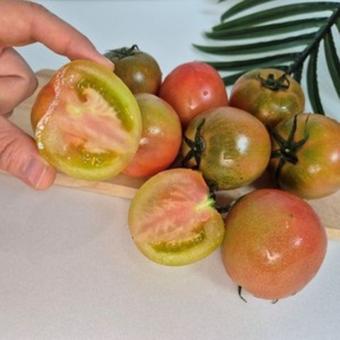 에레츠몰 토마토소과 대저짭잘이토마토 완숙찰토마토, 1개, 대저짭잘이토마토 500g
