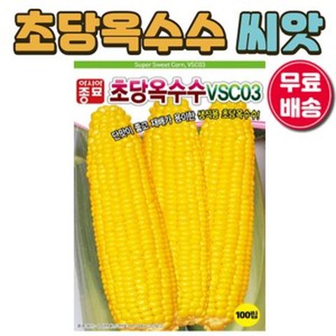 초당옥수수 씨앗 (100립) 노랑옥수수 단옥수수 옥수수 씨앗 씨 종자, 1세트