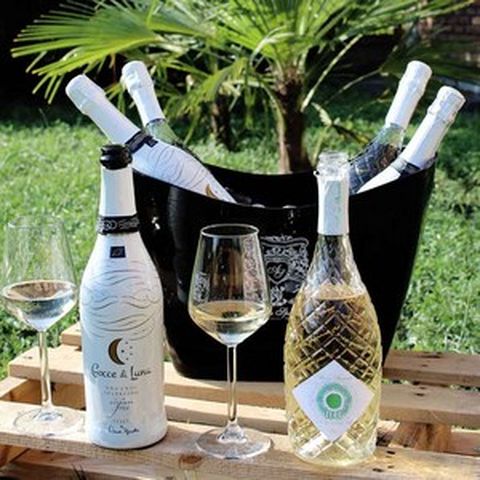 이탈리아와인 무알콜와인 논알콜 무알콜샴페인 논알콜음료, 로제와인, 1개, 750ml