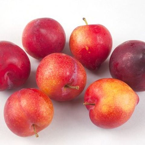 당도보장 햇 대석자두 새콤달콤 꿀자두 김천자두 2kg, 1박스, 자두 (2kg) 소과