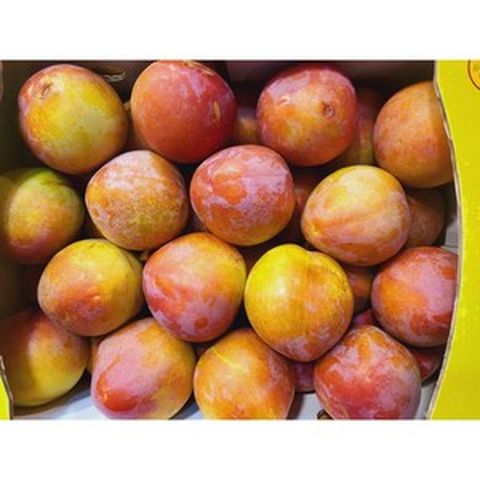 고당도 후무사 추희 대석 자두 2kg 3kg (의성 김천), 1개, 후무사 중과 자두 2kg