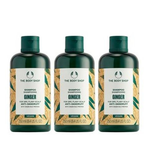 더바디샵 진저 스캘프케어 샴푸 250ML 2+1, 3개