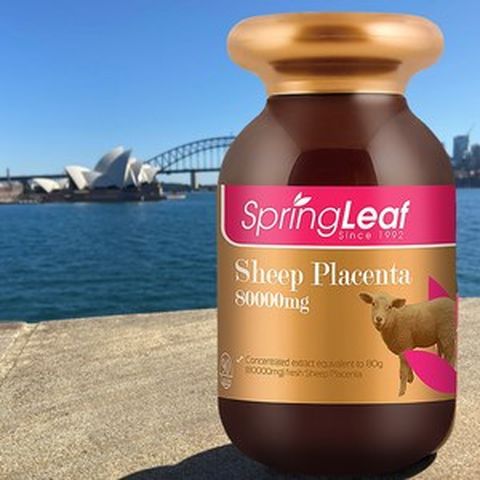 호주코알라몰 양태반캡슐 Springleaf Sheep Placenta 스프링리프 호주면세점, 2개, 90정