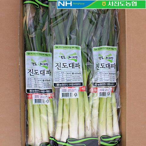 [서진도농협] 진도 대파 3단 (3kg내외) 지리적표시인증