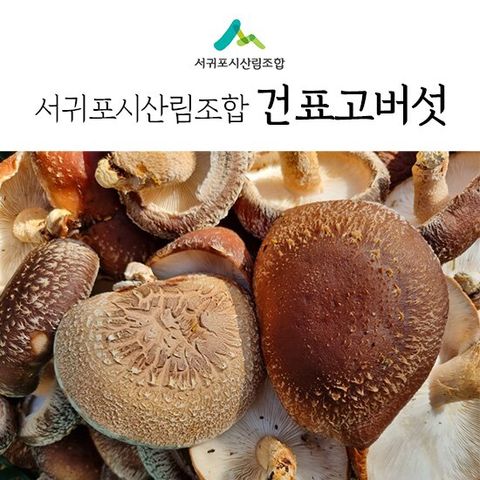 [서귀포시산림조합] 제주 한라산 건 표고버섯 480g