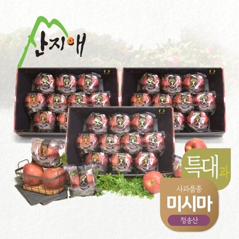 산지애 블랙라벨 특대 사과 9kg (3kg*3박스) / 청송 미시마 세척사과
