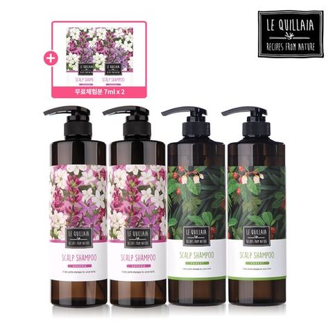 르퀼라야 스칼프 샴푸 810ml 4통