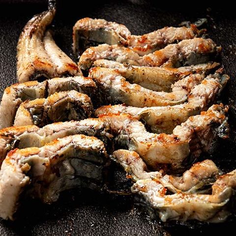 [삼해진미]고창 풍천 민물장어 1kg (손질후 700g내외)