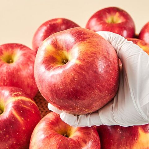 껍질째 먹는 세척사과 가정용 3kg (19-21과)