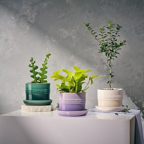 [르크루제] 허브 플랜터 14cm (색상선택)
