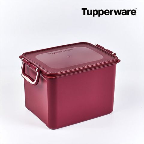 타파웨어 시그니처 김치 키퍼 10L 2개(4P)