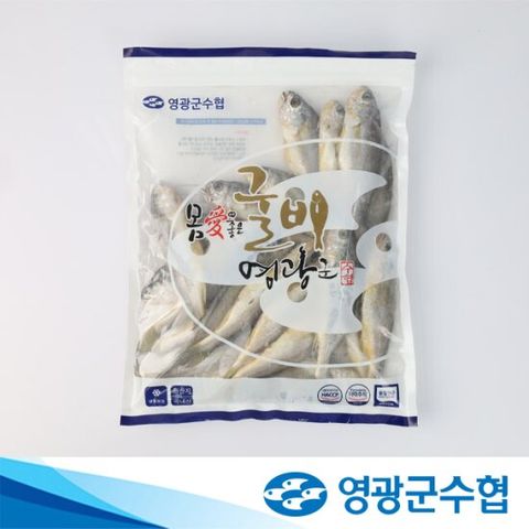 [영광군수협] 법성포 영광 굴비 1.3kg(20마리)