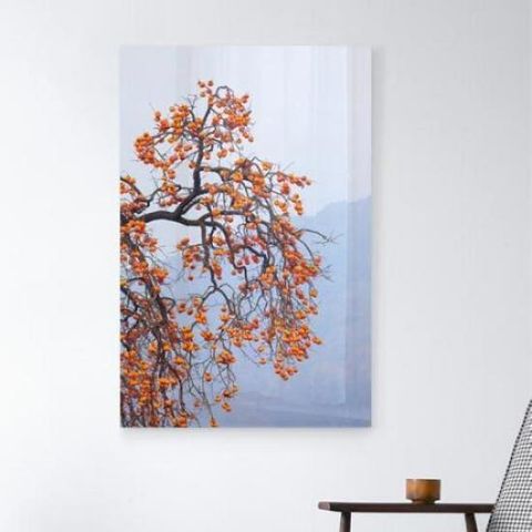 아트박스/꾸밈 fh017-폼아크릴액자38CmX58Cm_풍수재물감나무