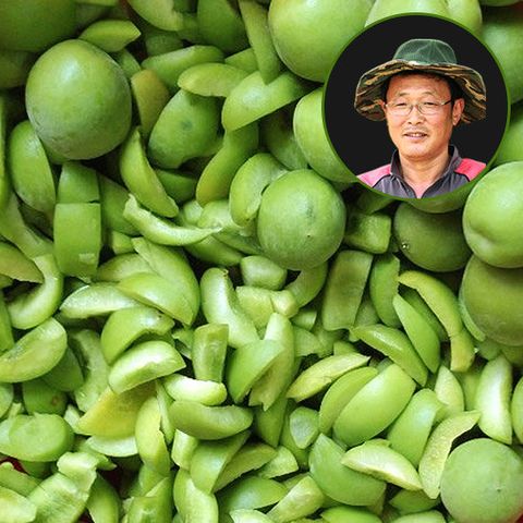 [6/4부터순차출고][맑은물농원] 하동 씨제거 청매실 깐매실 6kg