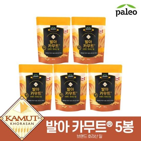 필레오 발아카무트 호라산밀 280g*5팩