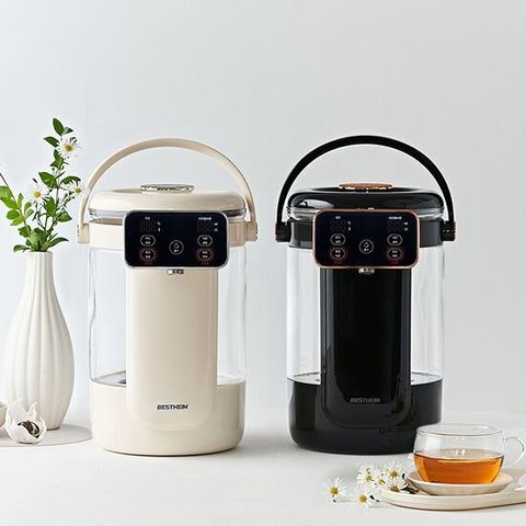 베스트하임 모담 스마트포트 4.2리터