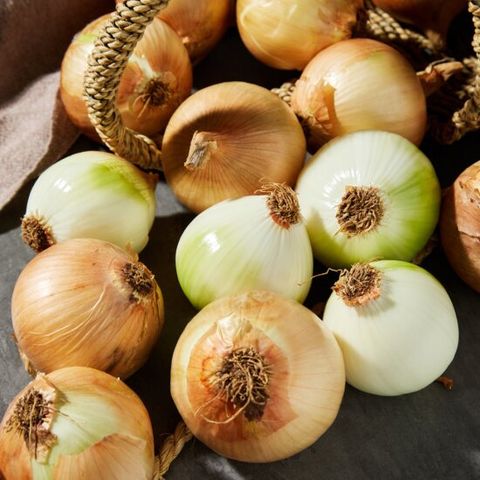 무안 황토밭 25년 단단한 양파 4kg(미니/장아찌용)