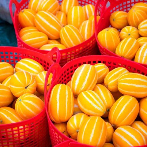 산지직송 성주 꿀 참외 1kg [못난이 몬난이 가정용 하우스 로얄과 당일 수확 고당도 꼬마 겨울 과일 당일 수확]