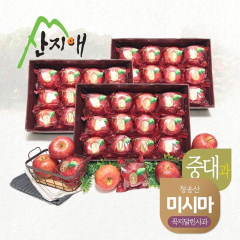산지애 청송 꼭지달린 사과 9kg (3kg*3박스)