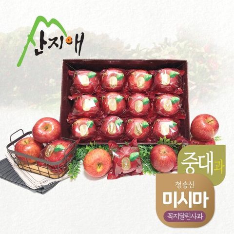 산지애 청송 꼭지달린 사과 3kg