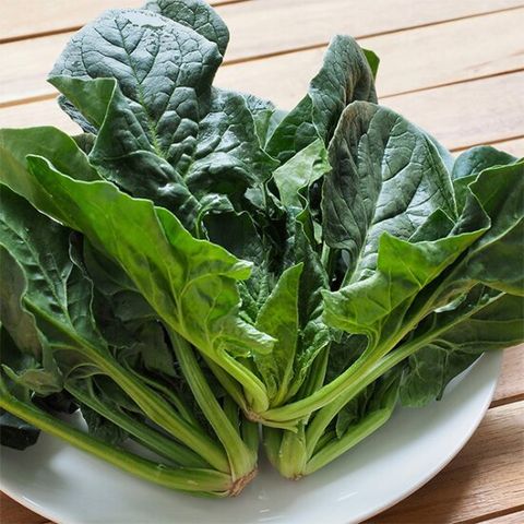 농협선별 신선한 시금치 1kg
