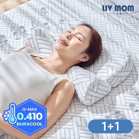 리브맘 메모리폼 아이스쿨링 냉감 바른자세 경추베개 2개