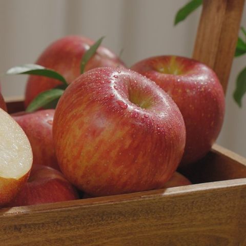 경북부사 정품 중과 4kg (13-18과)