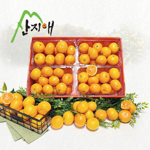 산지애 제주 감귤 4kg (1kg*4팩)
