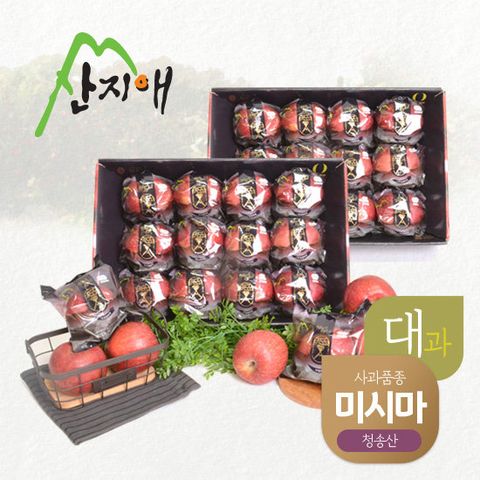 산지애 블랙라벨 사과 6kg (3kg*2박스, 총 16~24과, 대과)