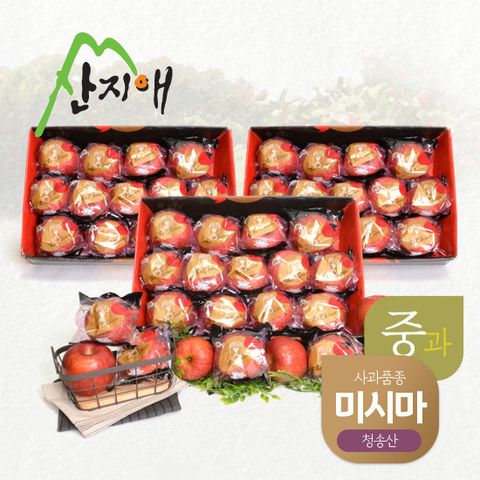 산지애 블랙라벨 더초이스 사과 9kg (3kg*3박스, 총 39~42과/중과)