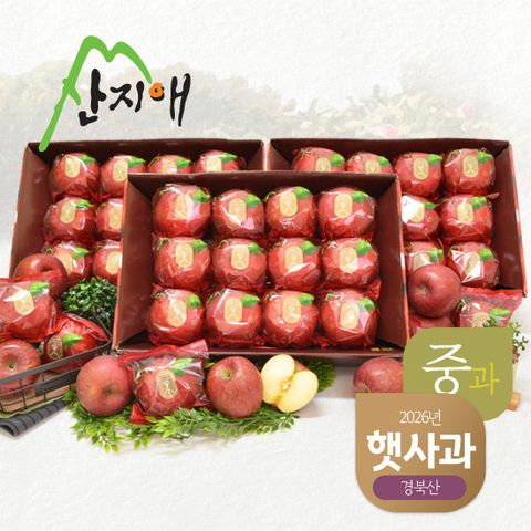 산지애 햇사과 8.1kg (2.7kg*3박스, 총 27~39과, 중과)