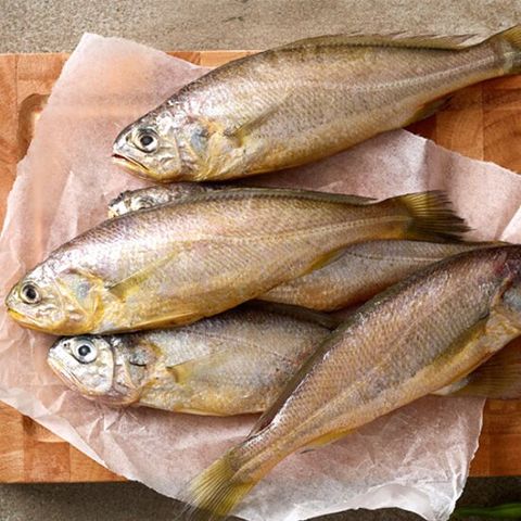 제주특선 참조기(대)세트 5마리(마리당100g이상)