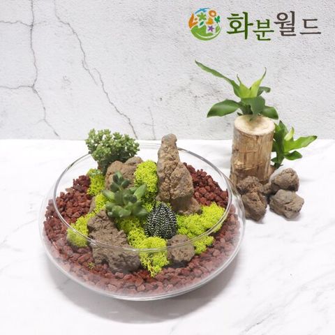 화산석 (대포장)  정원자갈 현무암 조경석 어항꾸미기