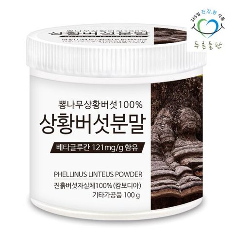 푸른들판 상황버섯 분말 100g 1개 뽕나무 진흙버섯 가루 차